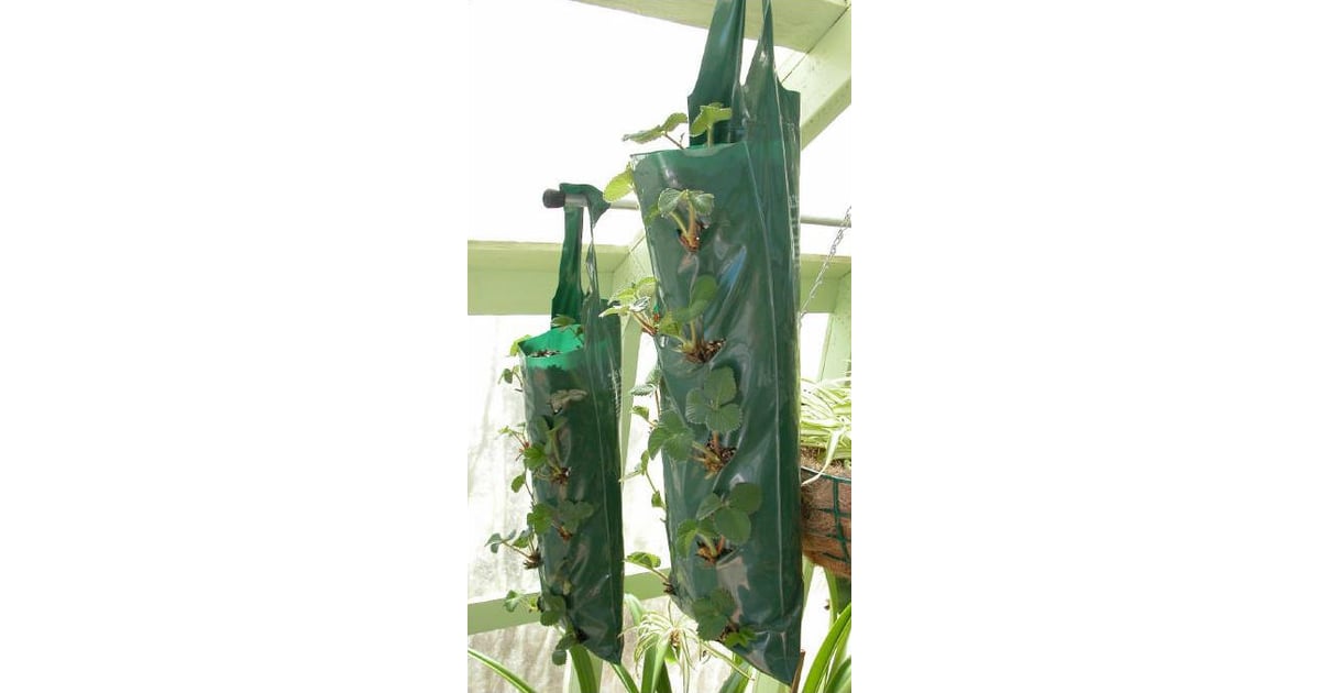DIY Hanging Grow Bags for Your Plants POPSUGAR Home